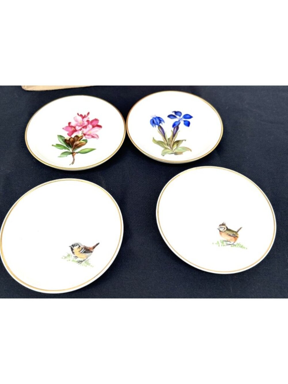 Rosenthal Butter Pats Porcelain Small Dishes Lot of 4 Flora Fauna 3.25" Germany